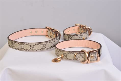 Gucci HundeHalsband Collare per cani Gucci Dog collar Collier .